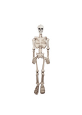 1.6m Googly Eye Skeleton